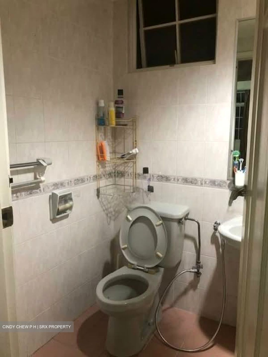 Versailles (D15), Condominium #580568551